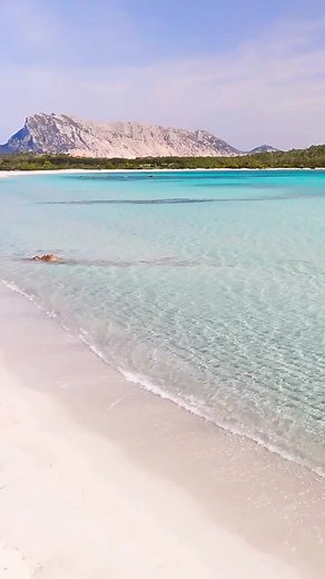 22K views · 768 reactions | SARDINIA - ITALY FOLLOW US on INSTAGRAM https://www.instagram.com/italyfoodmagazine IFM NEWSLETTER https://italyfoodmagazine.com/newsletter.html Video Credit @sardegna__world | Italy Food Magazine | Facebook