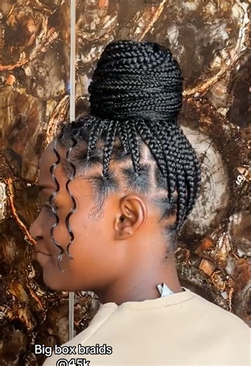 Stylish Big Box Braids for Everyone
