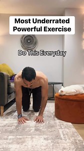 13K views · 54 reactions | The bird dog exercise improves core stability, balance and coordination while strengthening the lower back, glutes, and shoulders. It’s great for posture and preventing back pain. #homeworkout #fitnessmotivation #beginnerworkout | Thefitchampion | Facebook
