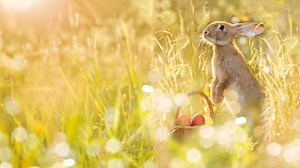 The Strange (but True) History of Easter