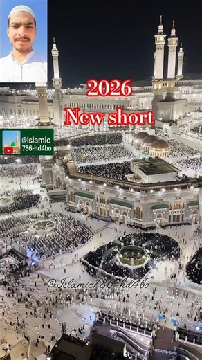 #TIMELAPSE: START to FINISH Alone BUILD LOG Cabin (Wooden House), How To Build Wooden Cabin, Surviva