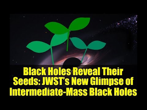 Black Holes Reveal Their Seeds: JWST’s New Glimpse of Intermediate-Mass Black Holes