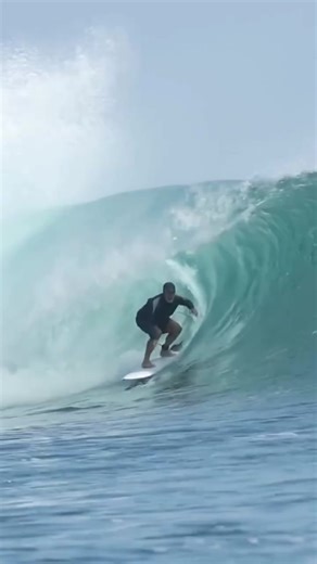 Unleash Performance with the Rare Bird Evo Model