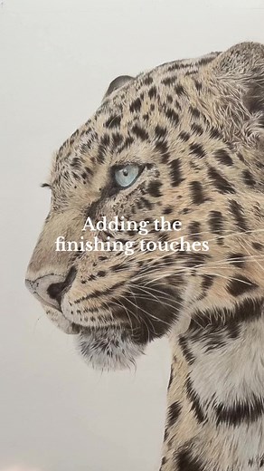 Realistic Amur Leopard Drawing Tutorial for Kids