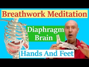 Full Body Breathing - Breathwork Meditation With The Brain, Diaphragm, And The Hands, And Feet.