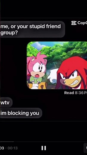 Homies over ho-🫩✌️ #sonic #thieunhivuinhon #robloxmemes #women #boondocks