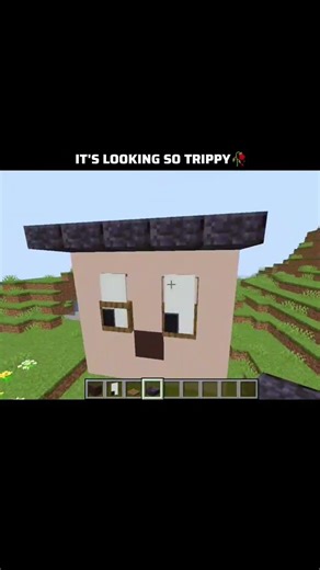 #minecraft