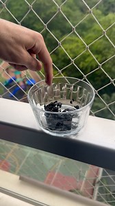 Don't throw this away again, never do that again! | Health Recipes