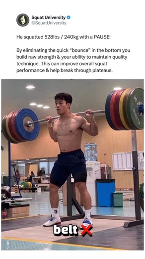 Squat University on Instagram: "Do you incorporate pause squats into your training? . Shout out @lee_sang____ for the amazing lift!"