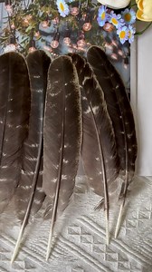 Amazon.com: 10pcs Natural Turkey Feathers 10-12 inch Wild Spotted Feathers for Craft Project Collection Wedding Decoration Headdress Clothing Accessories : Arts, Crafts & Sewing