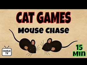 CAT GAMES: Mouse Chase (15 Minutes) by Charlie TV