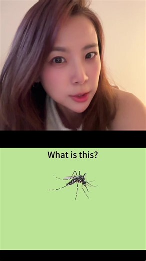 What Is This Called? Identifying Tuk Tuk Bird, Cicada, and Kamen Rider References