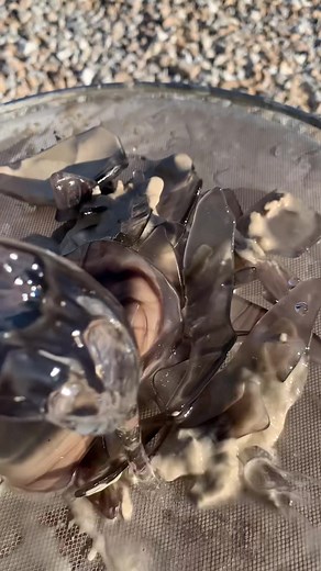 Making Seaglass from Old Bottles | Rock Tumbler Process