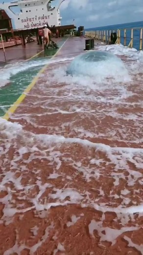 Preventing Alien Species Invasion: Ballast Water Management on Ships