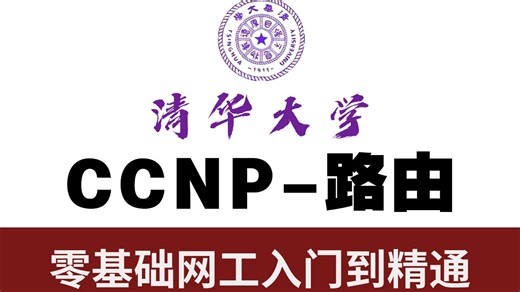 【思科EI-CCNP】浓缩精华！EI-CCNP 路由核心考点速学，聚焦考试高频题型 + 必练实验操作，理论拆解 + 实操演示双结合，小白也能快速掌握！