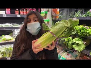 Deema teaches Sally Shopping and eat healthy food