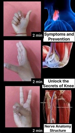 Daily Mudras #youtubeshorts​ #ytshorts​ #youtube​ #dailyyoga​ #shortsviral​