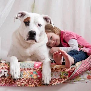 Home is where our pets are. They make us happy and they can make us healthy. They have our backs. They’re a best friend, and they’re a beloved part of the family, too. | Best Friends Animal Society