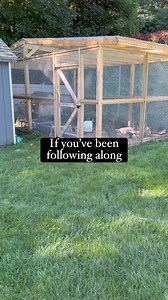 28K views · 659 reactions | Broody hen update #quail #coturnixquail #coturnixcoturnix #coturnixjaponica #birdlover #birdfreaks #adorableanimals #coturnixquailofinstagram #quailofinstagram #quailsofinstagram #quailtok #thequailybunch #homeschool #homestead #homesteading #homesteadlife #cuteanimals #kwekkwek #farmersmarket #babyanimals #cuteanimals #broody #broodyhenprobs | The Quaily Bunch | Facebook