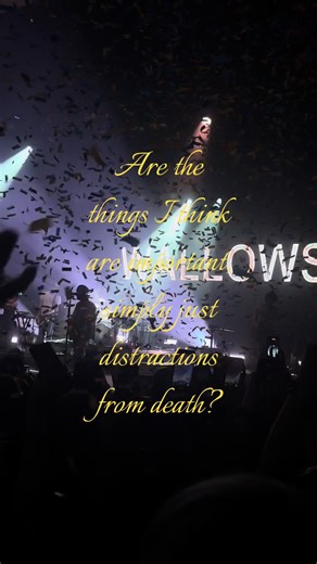 Top 3 Wallow Songs You Need to Hear