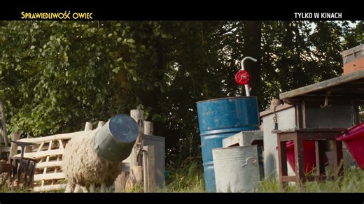 Sprawiedliwość owiec - tylko w kinach