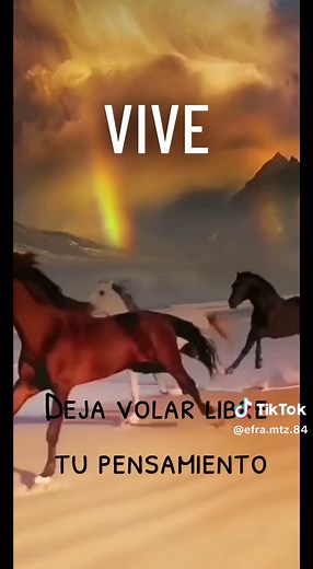Vive Napoleón - Letra completa de la canción y música de José María