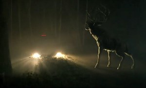 ‘Bambi: The Reckoning’: Disney’s cuddly deer goes on a killing spree for Poohniverse movie; Watch