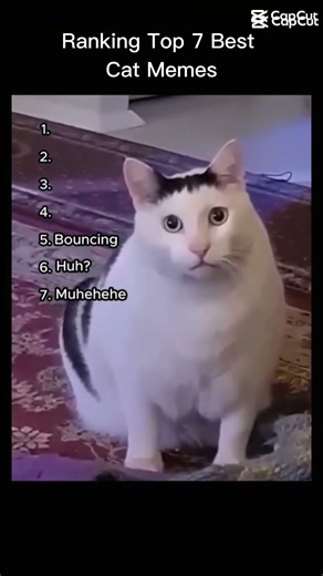 Top 7 best meme rank