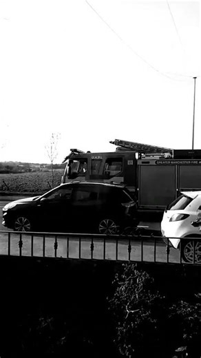 mighty mouse pushes for a living #spongebob #leach #patsy