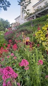 23 reactions | No wonder guests have been raving! The gardens at #thewoodbridgetasmania ARE looking rather stunning. @derwentvalleytasmania @hobartandbeyond #boutiqueaccommodation #seetasmania #discovertasmania #traveltasmania #beautifuldestinations | The Woodbridge, Boutique Hotel Tasmania | Facebook