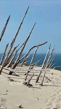 Sleeping Bear Dunes National Lakeshore | The Most Beautiful Place in America