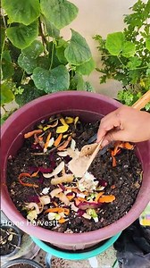 15 Days Compost Hack Using Kitchen Waste & Ecomposter 🔥 #shorts #compost #fertilizer