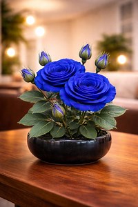 110  Rare Hybrid Rose Seeds – Exotic Garden Shrub - Etsy Canada