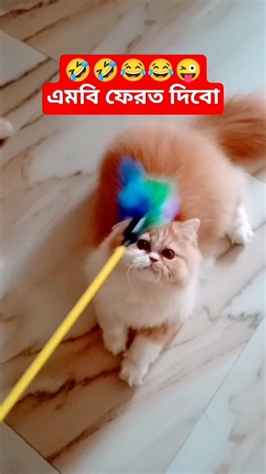 ভদ্রলোকের এসেছে তাই বিড়ালের কান্ড😛😛 #funny #comedy #funnyvideo #trending #shorts #pets #catshorts 😺😺