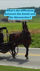What’s the difference between the Amish and the Mennonites? | Andrew Unger