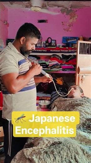 🦟 Japanese Encephalitis: Symptoms, Causes & Prevention Explained 🚔 #youtube
