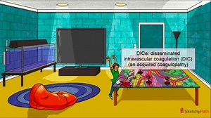 Acquired Coagulation Defects - Free Sketchy Medical Lesson