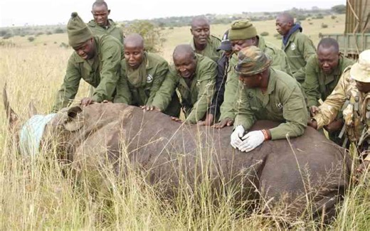 Tsavo conservation gains at risk as USAID project halted