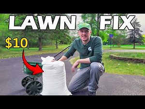 How to Grow Grass - Cheap Lawn Fix
