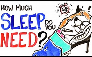 【AsapSCIENCE】你到底需要多少睡眠 How Much Sleep Do You Actually Need