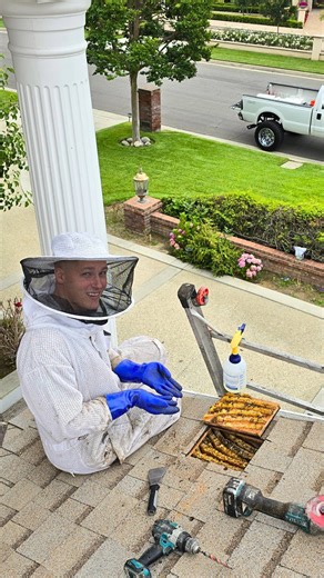 586K views · 5.2K reactions | Beehive Roof Rescue in San Marino! Hey...