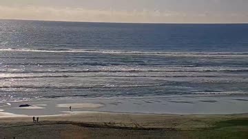 Piha Surf Report, Surf Forecast and Surf Cam - Surfline
