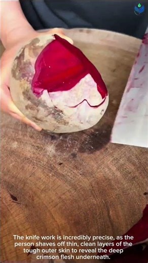 ULTIMATE precision slicing vibrant red BEETROOT with a super sharp kitchen cleaver
