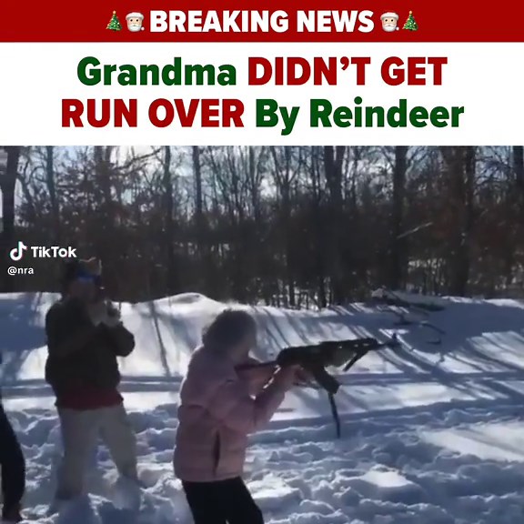 GRANNY W #nra #santa #christmas #2a