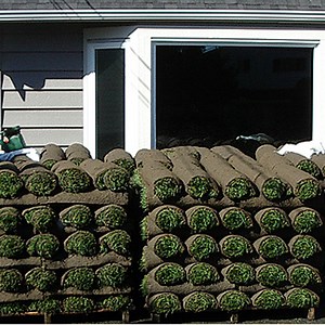West Coast Turf, Delta, BC - Sod pick up and delivery daily. - BC INSTANT LAWNS & LANDSCAPES