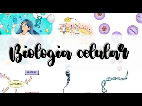 Cellular and Molecular Biology - Class 1