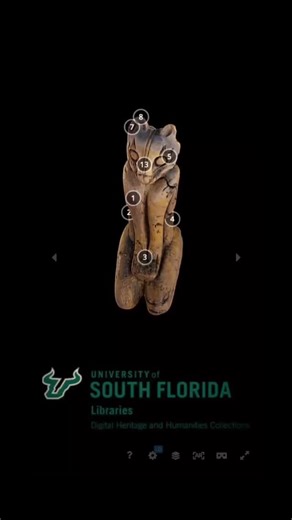 This is your #NationalCatDay reminder that you can visit the Key Marco Cat right here in Florida for FREE at the Key Marco Island Historical Society Museum until April 3rd, 2026! You can also view a detailed scan with numerous curatorial notes by USF Libraries on their Sketchfab page (seen above!). This stunning cultural belonging, made by Muspa or Calusa people between 500 and 1500 years ago, was preserved in a low-oxygen muck pond, the “Court of the Pile Dwellers,” on Key Marco in the Ten Thou
