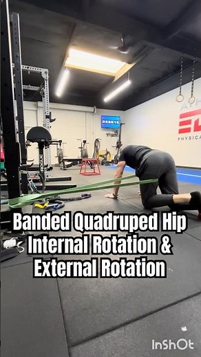 Banded Quadruped Hip Internal and External Rotation