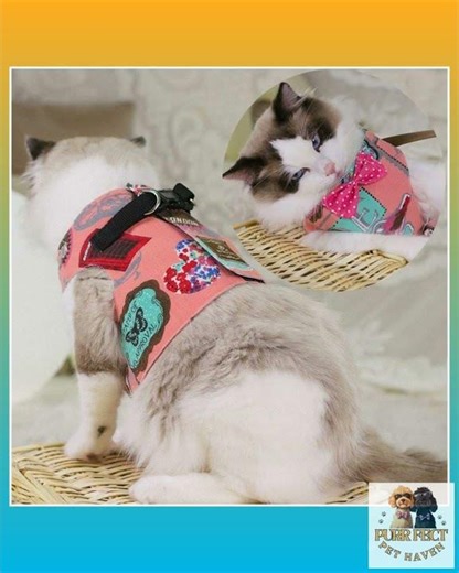 Rope Cat Traction Cat Chest Strap Set Bow