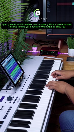 iPad Disponibles con más de 2000 Samples y más de 100 Ritmos Profesionales, a un Precio de Oferta!✅ 🛵 Envío gratis a todo el país! ✅ Pago contra entrega (Pagas al recibir tu iPad) ✅ WhatsApp al: 31192782 Contamos con librerías de: ✅Yamaha PSR 550 ✅Korg Triton Studio ✅Korg N364 ✅Korg 01W ✅Korg M1 ✅Korg D50 ✅Pianos para centro, pianos de adoración y Worship Pads. ✅Instrumentos Reales ✅Sonidos de Jacobo Reynoso, Banda Transfiguración, etc. ✅Korg PA1000 ✅Korg PA700 ✅Yamaha PSR900 ✅Korg Kronos ✅Korg